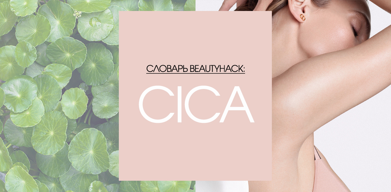 Cica – что это за компонент, и почему в 2021 ему пророчат новую волну популярности.